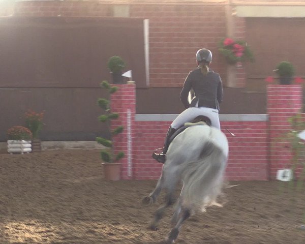 Reitturnier Hüllhorst 2015