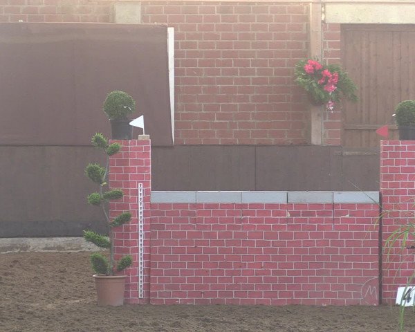 Reitturnier Hüllhorst 2015