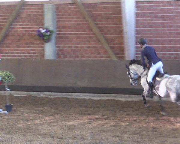 Reitturnier Hüllhorst 2015