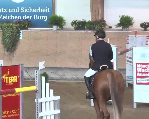 Reitturnier München-Riem 2015