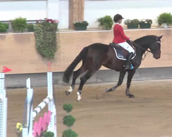Reitturnier München-Riem 2015