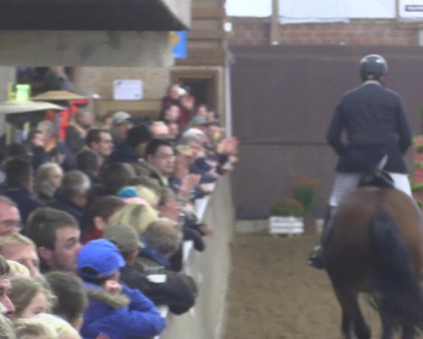 Reitturnier Hüllhorst 2015