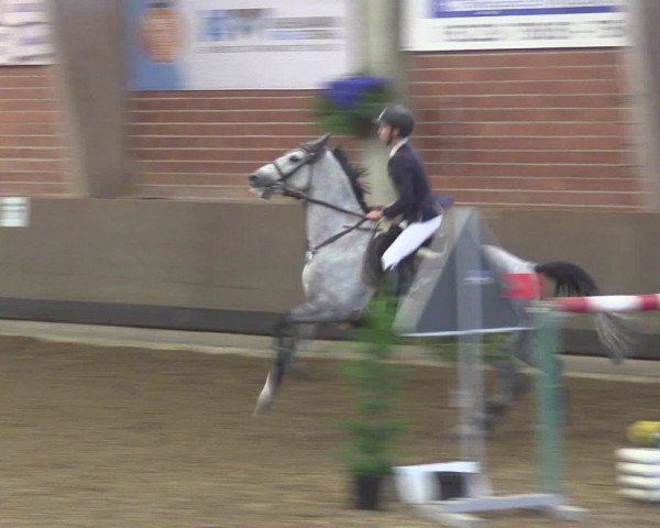 Reitturnier Hüllhorst 2015