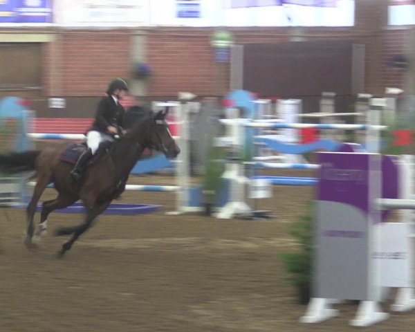 Reitturnier Hüllhorst 2015