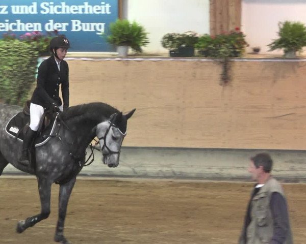 Reitturnier München-Riem 2015