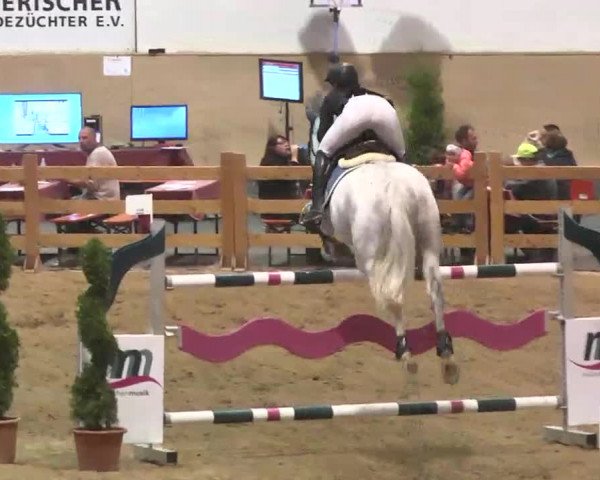 Reitturnier München-Riem 2015
