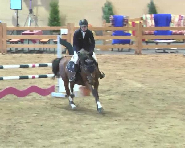 Reitturnier München-Riem 2015