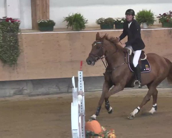 Reitturnier München-Riem 2015