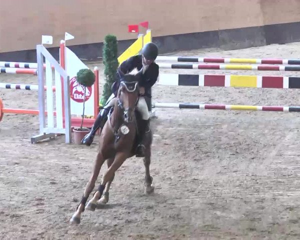 Reitturnier München-Riem 2015