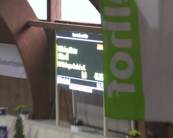 Reitturnier Hövelhof 2015