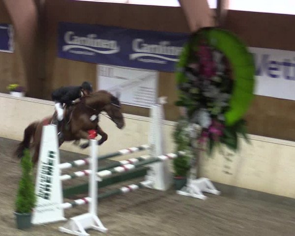 Reitturnier Hövelhof 2015