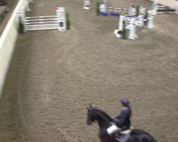 Reitturnier Hövelhof 2015