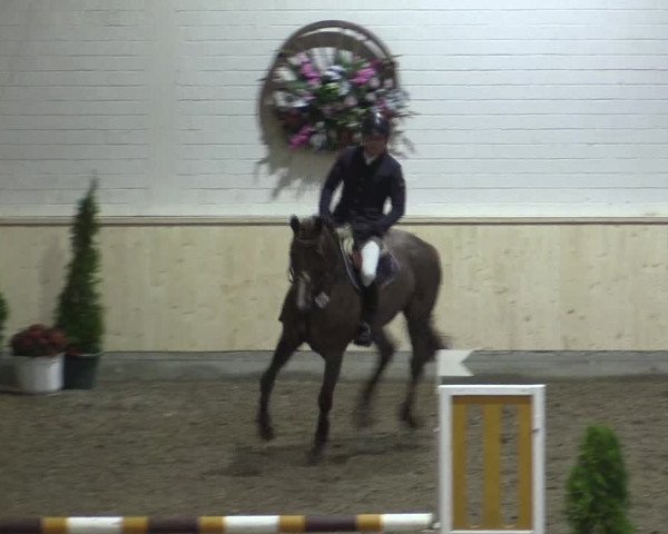 Reitturnier Hövelhof 2015