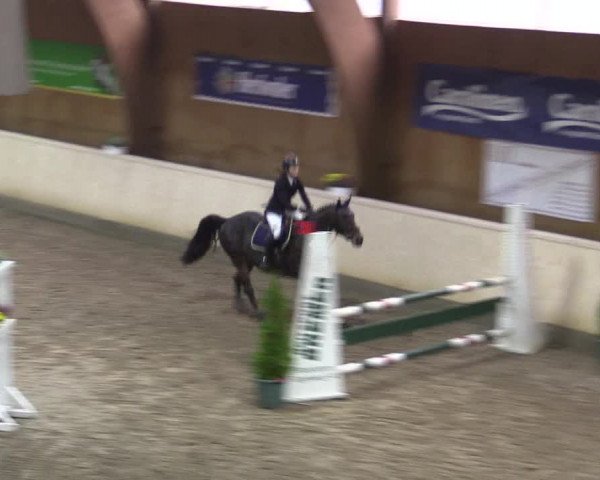 Reitturnier Hövelhof 2015