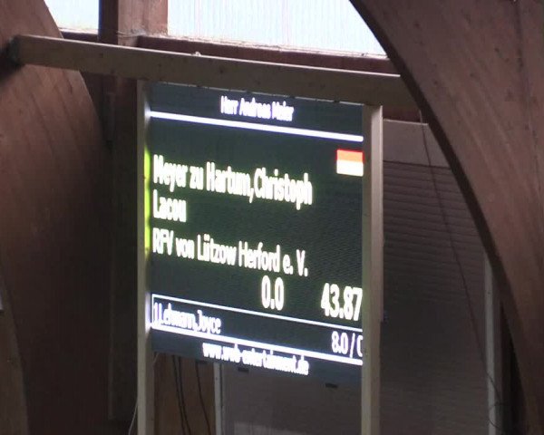 Reitturnier Hövelhof 2015
