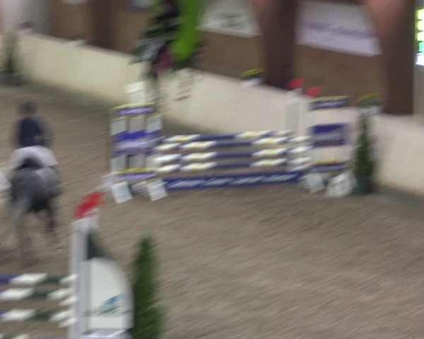 Reitturnier Hövelhof 2015