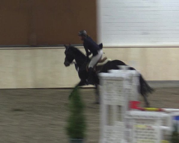 Reitturnier Hövelhof 2015