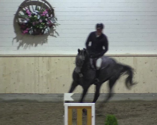 Reitturnier Hövelhof 2015