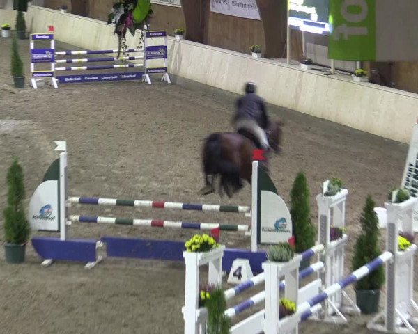 Reitturnier Hövelhof 2015