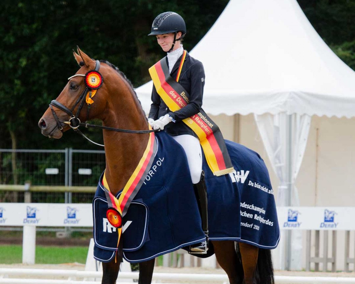stallion Va' Pensiero FRH (Hanoverian, 2017, from Vitalis)