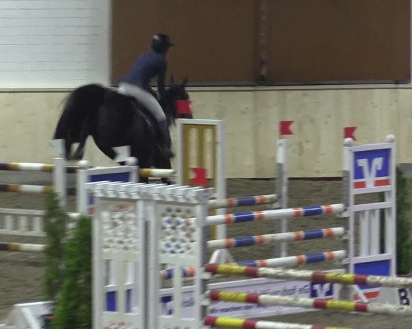 Reitturnier Hövelhof 2015