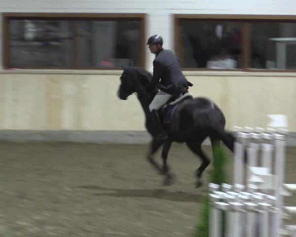 Reitturnier Hövelhof 2015