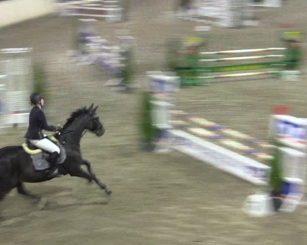 Reitturnier Hövelhof 2015