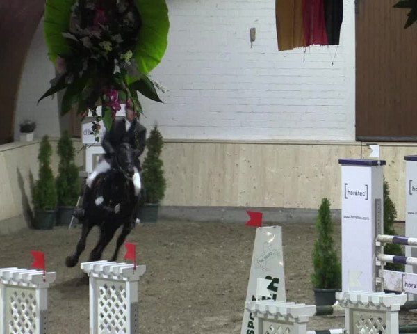 Reitturnier Hövelhof 2015