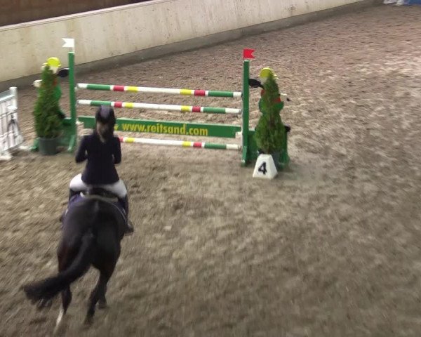 Reitturnier Hövelhof 2015