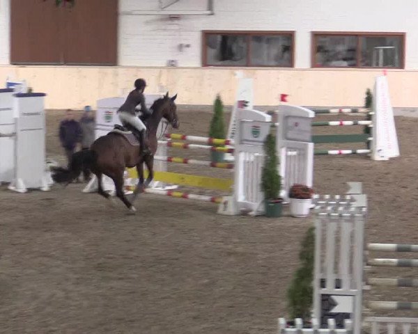 Reitturnier Hövelhof 2015