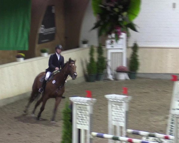Reitturnier Hövelhof 2015