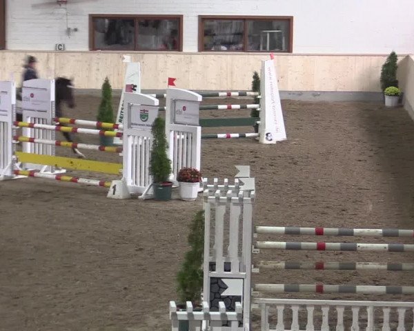 Reitturnier Hövelhof 2015