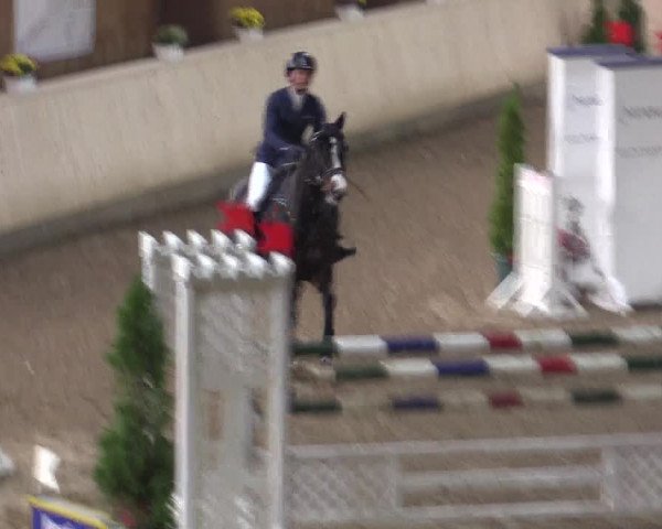 Reitturnier Hövelhof 2015