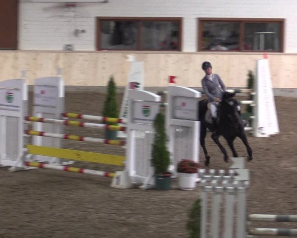 Reitturnier Hövelhof 2015