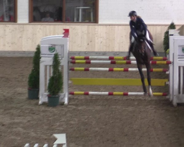Reitturnier Hövelhof 2015