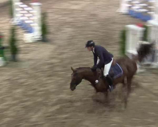 Reitturnier Hövelhof 2015
