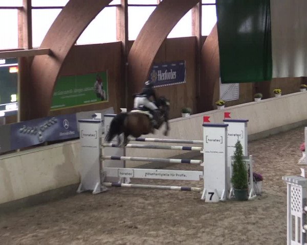 Reitturnier Hövelhof 2015