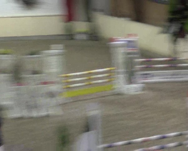Reitturnier Hövelhof 2015