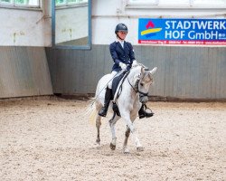 broodmare Cinderellas Diamond (German Riding Pony, 2011, from Dream of Lord)