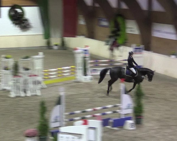 Reitturnier Hövelhof 2015