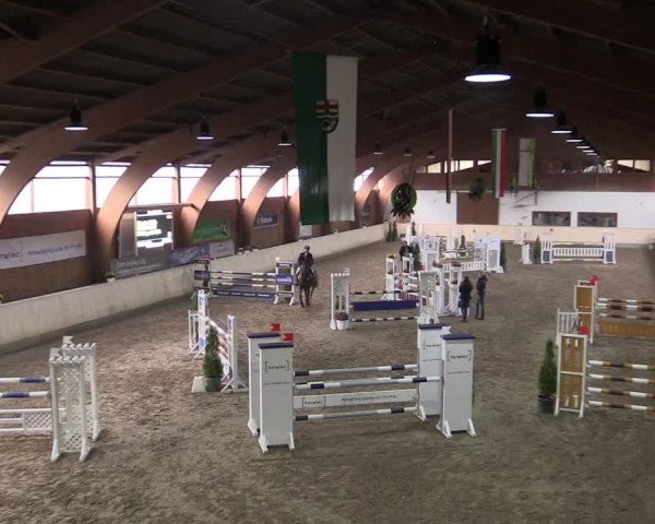 Reitturnier Hövelhof 2015