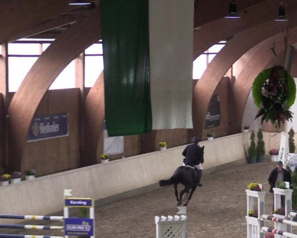 Reitturnier Hövelhof 2015