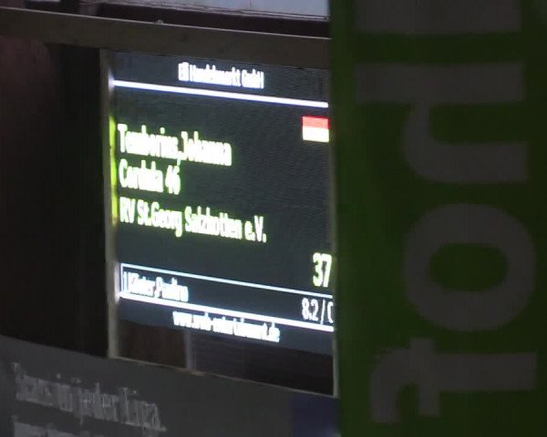 Reitturnier Hövelhof 2015