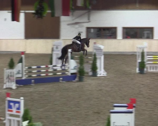 Reitturnier Hövelhof 2015