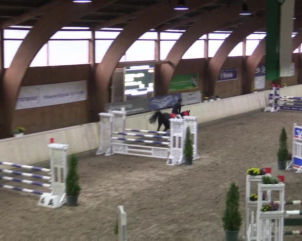 Reitturnier Hövelhof 2015