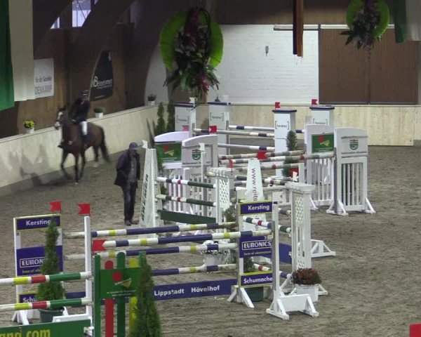 Reitturnier Hövelhof 2015