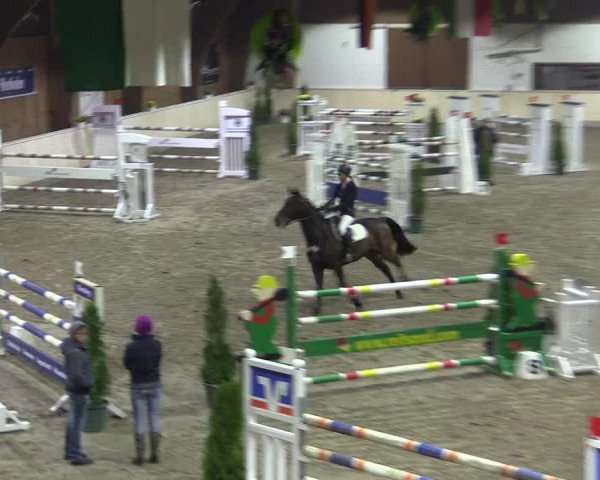 Reitturnier Hövelhof 2015