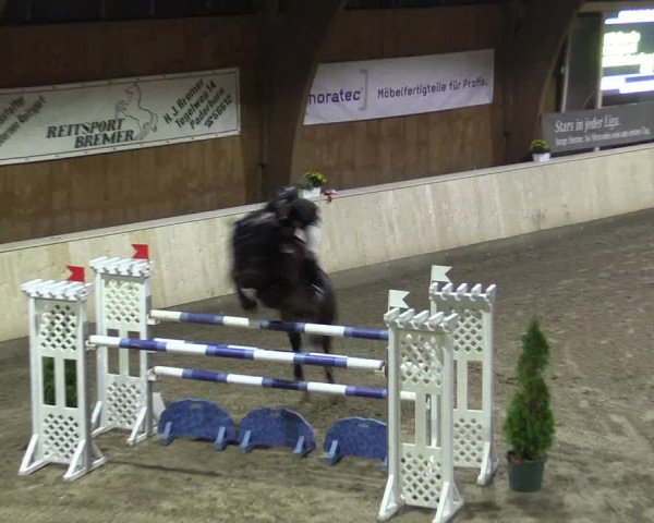Reitturnier Hövelhof 2015