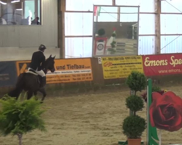 Reitturnier Pausin 2015