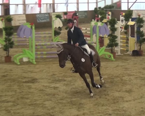 Reitturnier Pausin 2015